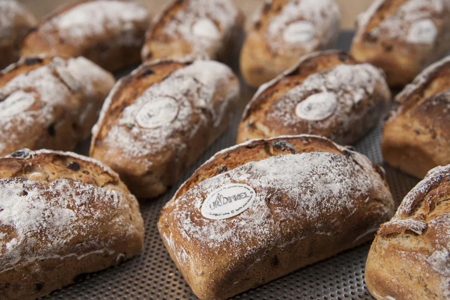 Cuisiner durable : cours de pâtisserie à l'épeautre pur